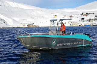 Sørøya boat 6 - Kaasbøll boat 660 22,5ft/115 hp e/g/c/GF - max 4 prs
